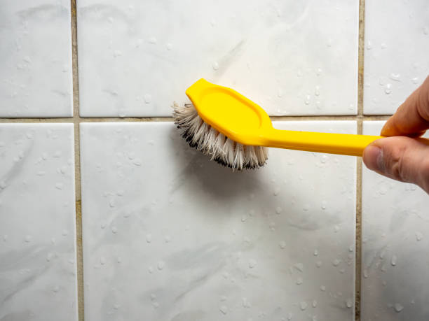 Best Local Mold Removal Service  in Phoenixville, PA